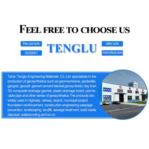 Raw Material HDPE/PP Uniaxial Geogrid for Retaining Wall in Civil Engineering Projects