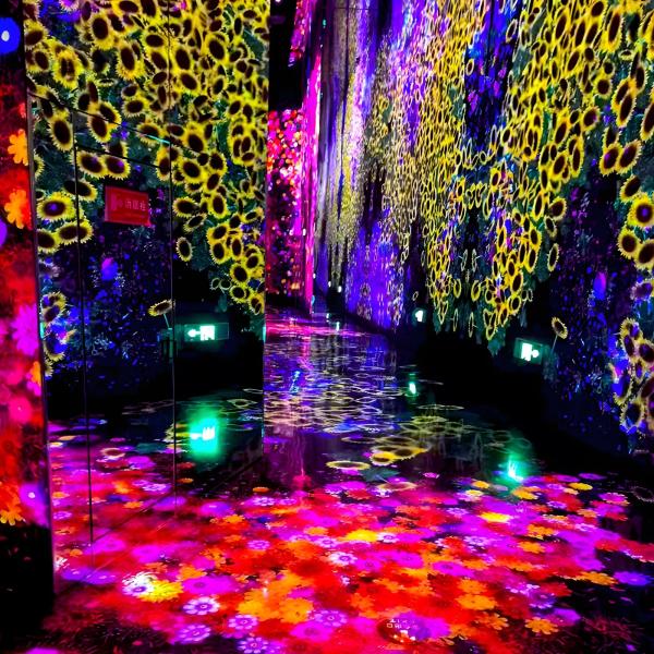 Buy Multiple Channels Immersive Room Projector Immersive Wall Interactive Projection at wholesale prices