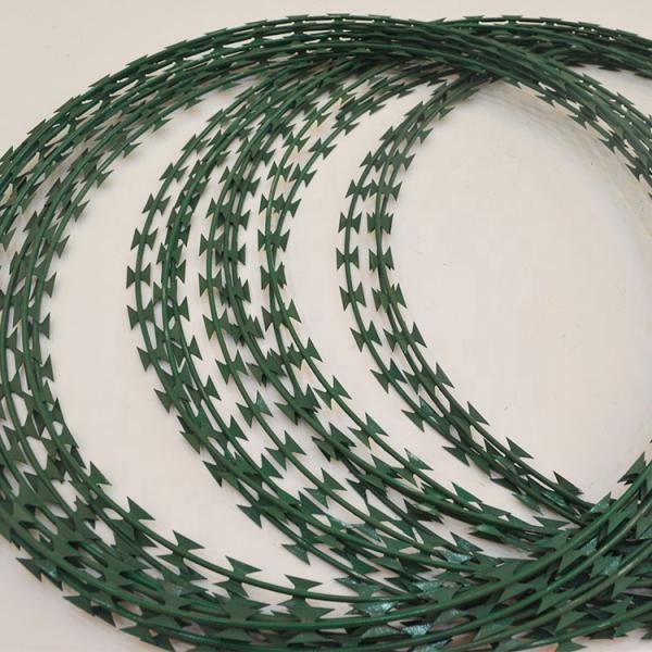 PVC Coated Razor Barbed Wire 450MM Coil BTO 22 0.5mm thickness