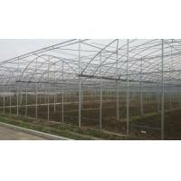 China Easy Install Plastic Film Greenhouse , Dome Shaped Greenhouse Span Width 6 / 8 / 10m for sale