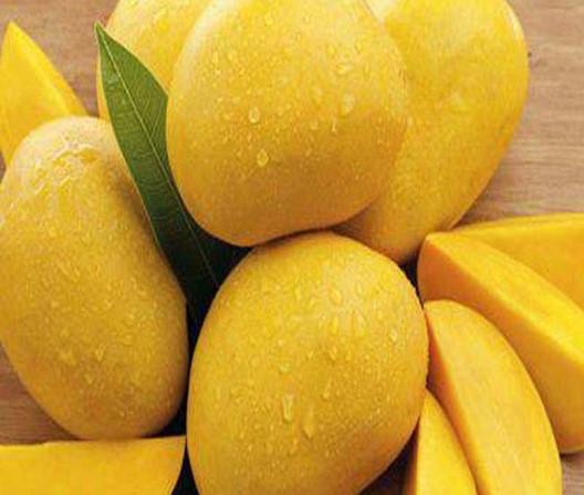 Buy Fresh Mango Pulp Juice Paste Beverage Making Machine at wholesale prices