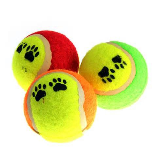 Squeaky Ball Dog Toys