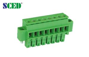 Quality Pluggable Terminal Block Plug Female Sockets 2P-20P Pitch 3.81mm 300V 8A Plug-in Terminal Block for sale