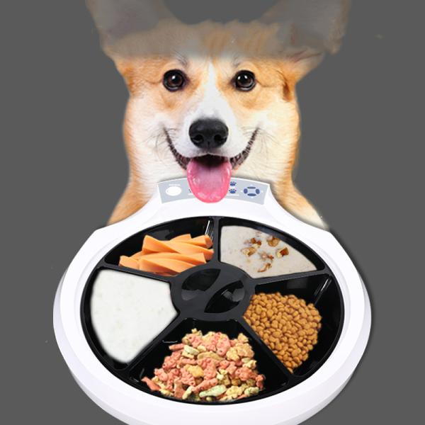Buy Digital Timer 12 Seconds 320*240 PPI Automatic Pet Feeder at wholesale prices