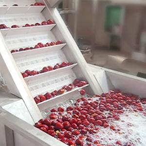 50T/H Jujube Hawthorn Processing Line Food Application