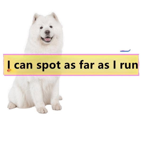 Voice Guidance RFID Pet Smart GPS Tracker Long Range Detection Global Coverage Cellular