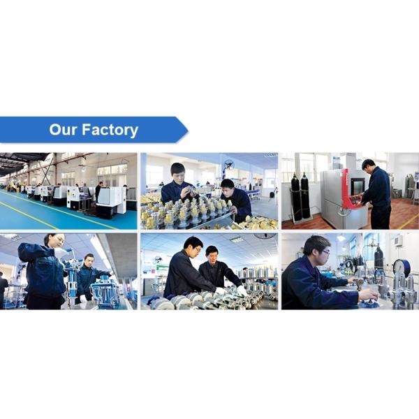 Low Temperature LO2 LN2 Cryogenic Globe Valve High Pressure