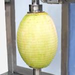 Mango Debarker Machine/Mango Processing Machine/Mango Peeling Machine