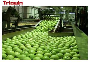 Quality Custom Fruit And Vegetable Processing Line Pear Fruit Juice Processing Machines 220/380V for sale