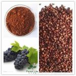 New Type,High Efficient and Delicated Grape Seed Extract