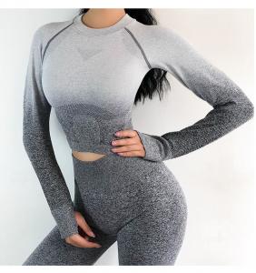 Quality Ombre Seamless Women