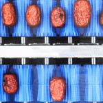 Efficient Machine Sorting Of Dates 6 Lanes Dates Sorting Machine