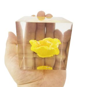 Quality custom cube brick resin paper weight with inclusion embeddings for sale