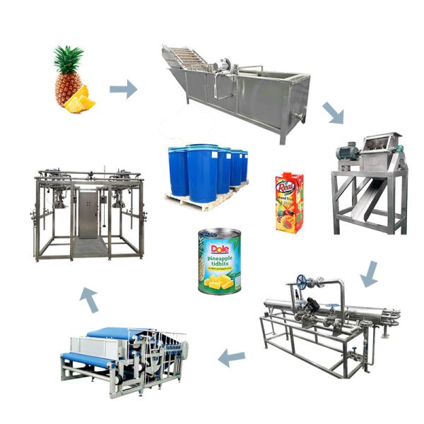 Buy PLC Controlled Aseptic Bag Pineapple Processing Line 20T/H 440V at wholesale prices