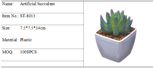 Natural Looking Artificial Succulents Plastic Potted Table Plant Ornamental