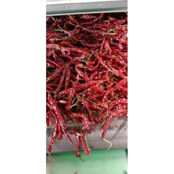 Stemless Erjingtiao Dried Chilis Sterilized Whole Chillies Pungent