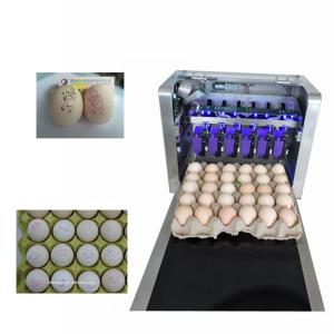 Quality Eggs Batch Code Food Inkjet Printer , Continuous Laser Marking Machine for sale