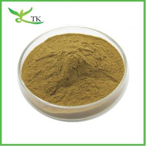 Quality Valeric Acid 0.8% Valerian Root Plant Extract Powder Valerian Extract Powder for sale