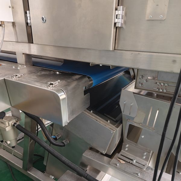 Advanced Industrial Sorting System with Imaging Spectroscopy Technology for Reliable Identification