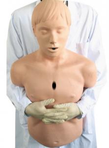 Quality Half - Body Airway Model / CPR Resuscitation Manikin for Heidegger Adult First Aid for sale