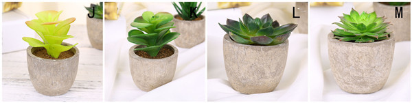 Mini Succulent Artificial Potted Plants Strange Shape Green Platsic Material