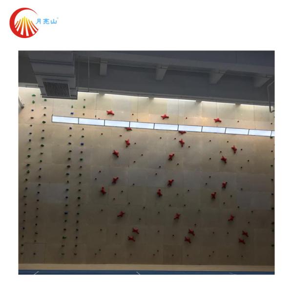 Indoor Kids Climbing Wall Trampoline Park Treadwall Rock Climbing Customized