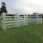 10' Height Adjustable Cattle Fence Panel Galvanized Cattle Loading Ramp With
