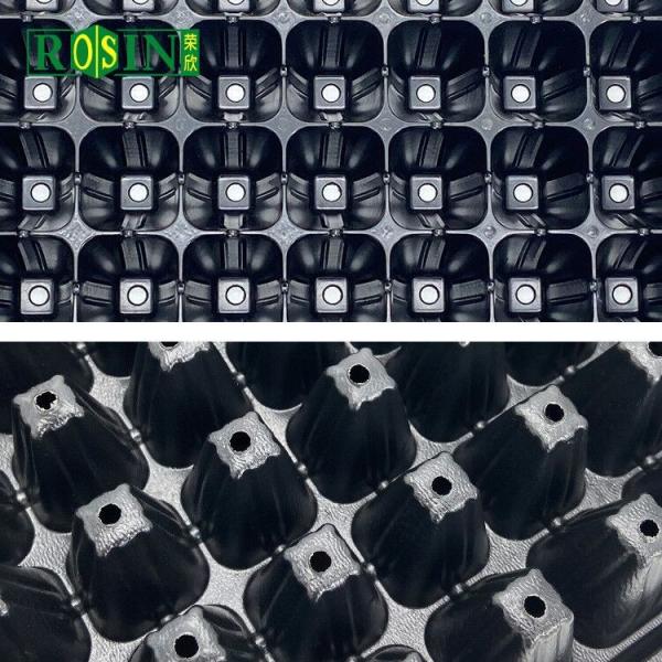 Flexibility Deep 128 Cell Plug Tray Breaking Resistant For Greenhouse And Vegetables