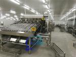 Lobster sorting and grading machine Shrimp grading machine Shrimp sorting