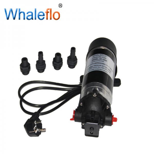 WHALEFLO DP-160M 220V AC 160psi 12v dc high pressure car wash water pump cleaner