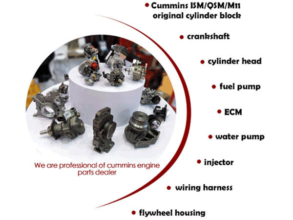 Construction Machinery Geniune Cummins 4BT Cylinder Heads Assembly 3966448 3967432