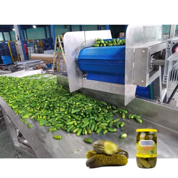 Buy Full Set Canned Pickled Cucumber Production Line Canned Cucumber Processing Line at wholesale prices