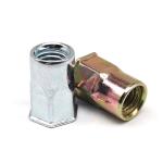 Flat Head Riveted Nuts Flat Round Head Internal And External Half Hex Rivet Nuts