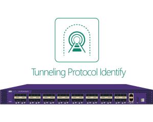 Quality GRE PPTP PPPOE Ethernet Packet Generator Tool / Data Center Network Manager for sale