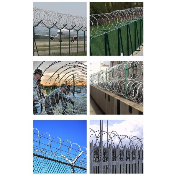 PVC Coated Razor Barbed Wire 450MM Coil BTO 22 0.5mm thickness