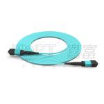 10 Gigabits MPO patch cord Fast Connection for optical signal connection in