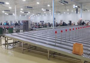 China Zzgenerate Motorized Gravity Roller Conveyor for Transporting Boxes on sale