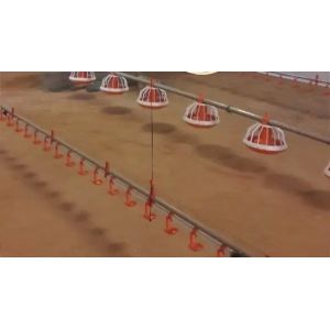 Automated Broiler Pan Feeding System Poultry Chain Feeder