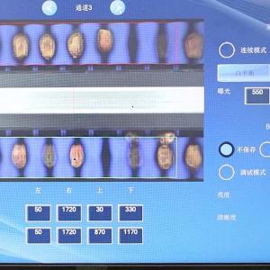 Quality Comprehensive Defect Detection 1.4 Tons Per Hour 6-Lane Palm Dates Sorting Machine for sale