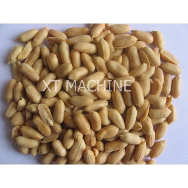 Electric Deep Salted Peanut Frying Machine 2000KGS/H for Groundnut