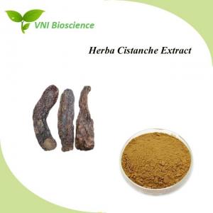 China Plant Cistanche Tubulosa Extract Powder 15%-20% Echinacoside HPLC on sale