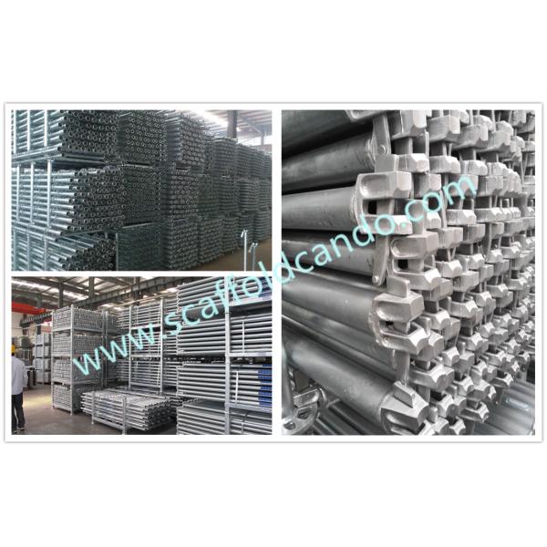 1800mm, 1500mm,1200mm Q235 hot dipped galvanized Ringlock scaffold ledger,horizontal for ringlock system scaffolding