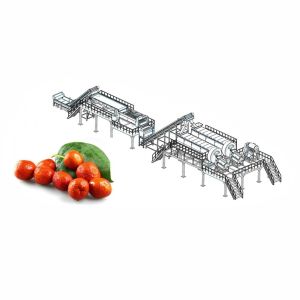 Quality 50T/H Jujube Hawthorn Processing Line Food Application for sale
