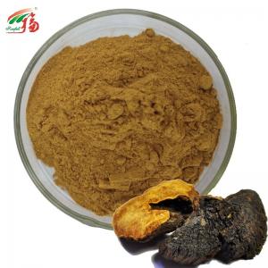 China 20% Polysaccharides Mushroom Extract Powder UV Phellinus Igniarius Extract on sale