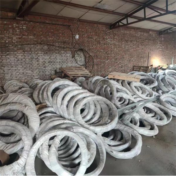 Anti-rust BWG 10 Electro Galvanized Low Carbon Steel Wire Coils for Construction Site