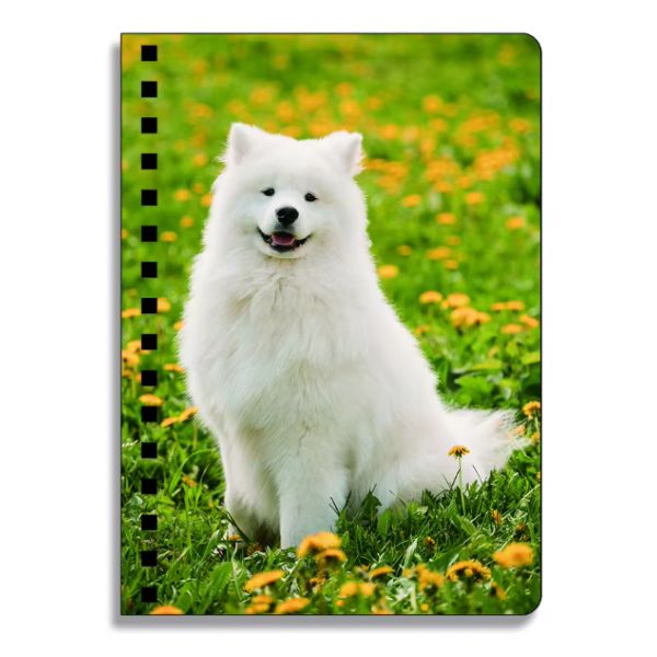 School Stationery 3D Lenticular Advertising Custom Spiral Notebooks for Children Promotion Gift