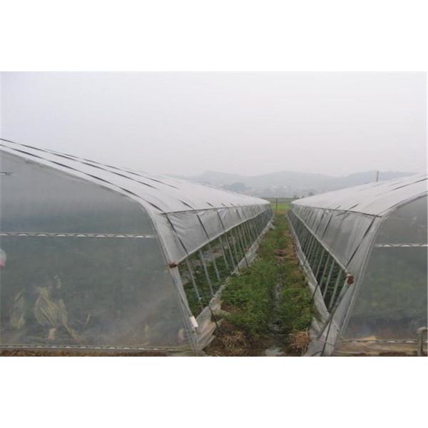 Professional Insect Mesh Netting , Insect Wire Mesh IOS SGS Standard