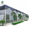 8.0m Pc Sheet Multi Span Polycarbonate Greenhouse For Farm for sale