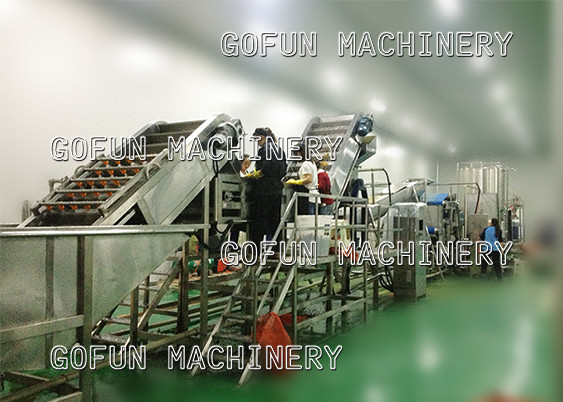 SS306 Complete Tomato Processing Line High Efficiency 1500T/D