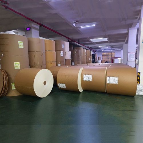 Waterproof High Bulk White PLA Coated Paper Roll 150-350gsm 100% Virgin Wood Pulp